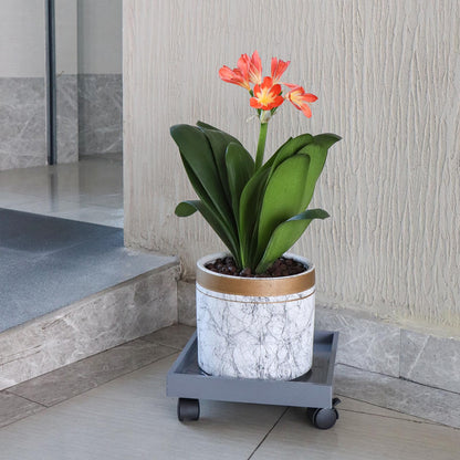 Sanbege Plant Caddy with Wheels, 11" Square Plant Pallet, Plant Pot Trolley (Grey)