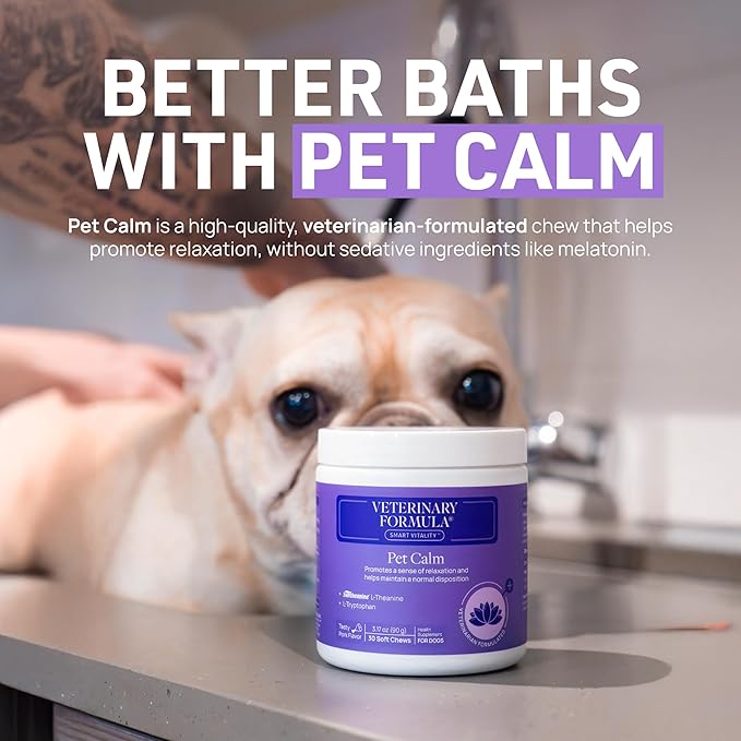 Veterinary Formula Clinical Care Hypoallergenic Shampoo for Dogs and Cats, 16 oz – No Harsh Ingredients – Fragrance-Free Pet Shampoo for Allergies and Sensitive Skin, Promotes Healthy Skin and Coat