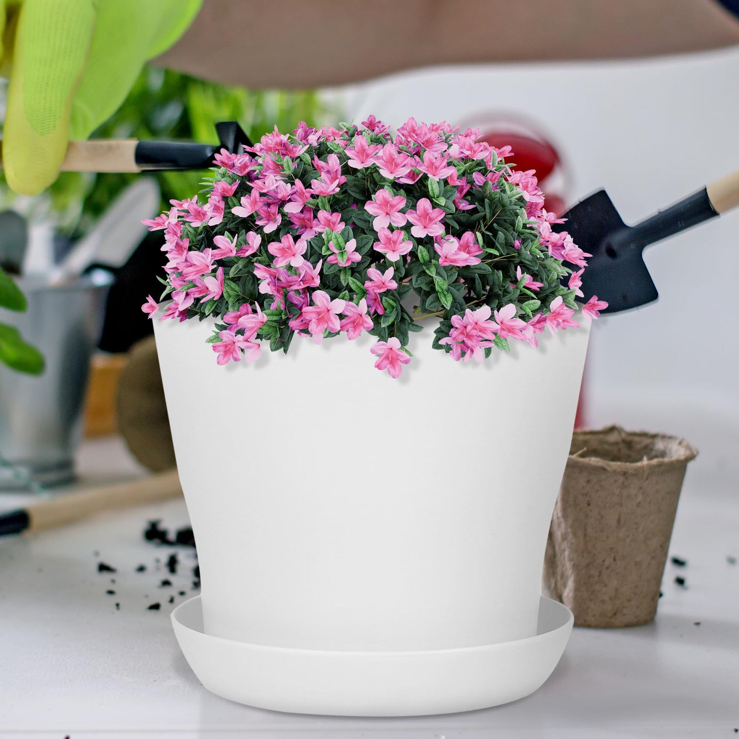 Hahood 36 Pack 5.5 Inch Plastic Plant Pots with Saucers White Flower Plant Container Seed Starting Pots Thickened Seedlings Nursery Pot for Home Garden Indoor Outdoor Flowers