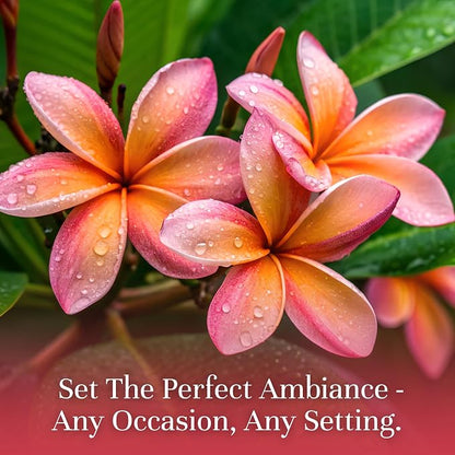 P&J Trading Fragrance Oil | Plumeria Oil 100ml - Candle Scents for Candle Making, Freshie Scents, Soap Making Supplies, Diffuser Oil Scents