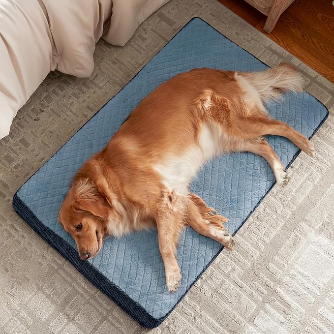 JOEJOY Orthopedic Dog Bed for Small Dogs, Washable Dog Crate Bed Small Sized with Removable Cover, Egg Memory Foam Pet Beds, Blue, 23"x17"