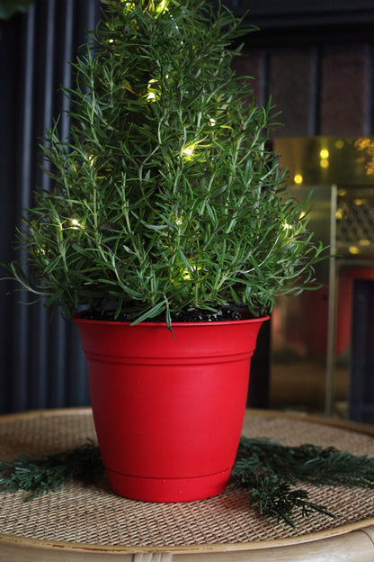 The HC Companies 8 Inch Eclipse Round Planter with Saucer - Indoor Outdoor Plant Pot for Flowers, Vegetables, and Herbs, Strawberry Red (Pack of 2)