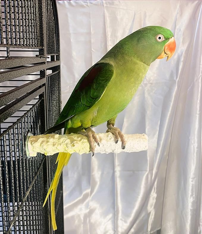 Polly's Edible Cuttlebone Calcium Bird Cage Perch for Budgies, Parakeets, Amazons, Blue & Golds, Macaws and Cockatoos.… (Pineapple, Medium)