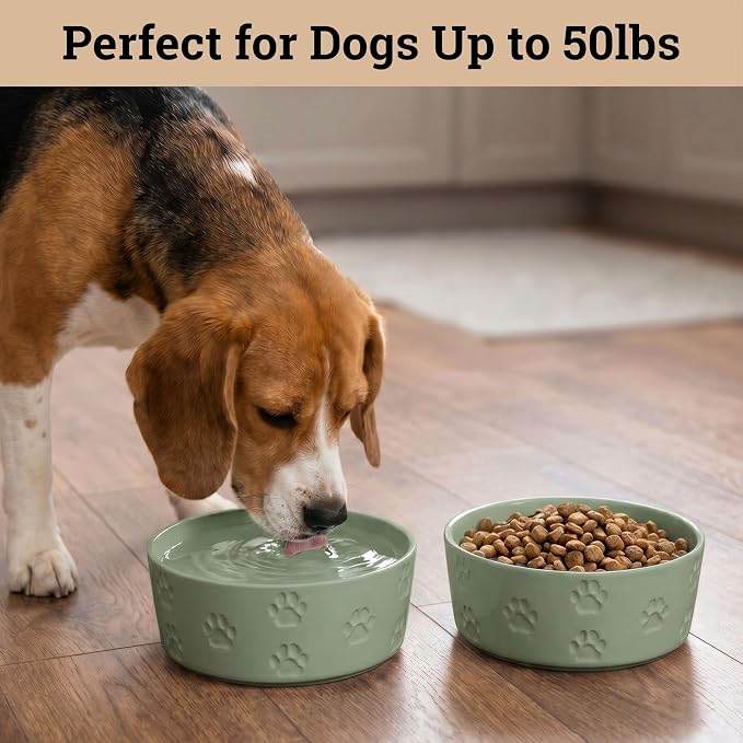 Ceramic Dog Bowl Set of 2 with Anti-Skid Base - 6.5" Wide x 2.5" Tall Ceramic Dog Bowls Medium Sized Dogs - 3.8 Cup Capacity Food and Water Bowls for Dogs - Rubber Bottom Pet Bowl Set of 2 Medium Size