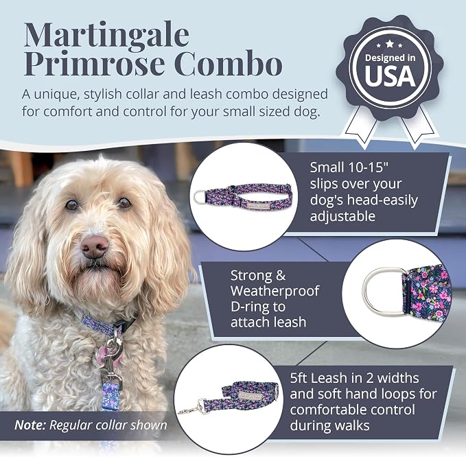 Lucky Love Dog Martingale Dog Collar & Leash - Adjustable, No-Slip, Durable, Comfortable, Soft Webbing, & Stylish Patterned Collar & Leash Set for Male and Female Dogs - Primrose Combo, Small
