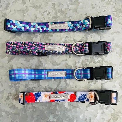 Lucky Love Dog - Adjustable Dog Collar and Leash Set with Easy Click Buckle for Small Dogs, Durable, & Comfortable Collar for Male & Female Dogs, Puppies & Adult Ones - Jasper Combo, XS