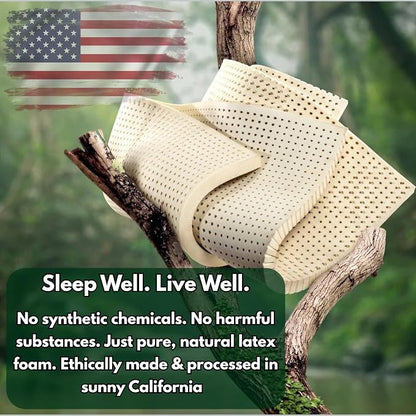 eConsumersUSA Organic Shredded Latex Foam 5lbs, 10lbs, 20lbs, 40lbs Made in USA 10 Pounds