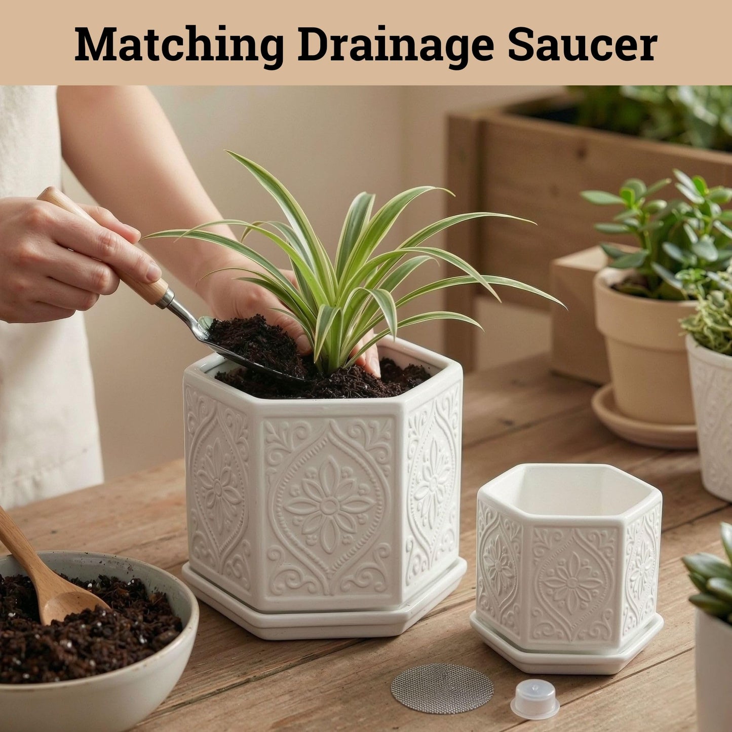 Ceramic Pots for Plants Set of 2 Sizes - 6 Inch and 4 Inch Wide Plant Pots Indoor with Drainage and Saucer - White Planters for Indoor Plants - Ceramic Planter Pot with Tray for Flowers & Houseplants
