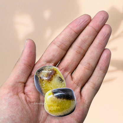 Amazing Gemstone Septarian Crystals and Healing Stones Tumbled - 1 oz Septarian Stone Gem Stones, Natural Healing Stones for Energy Balance, Stress Relief - Premium Polished Gems Rocks for Meditation