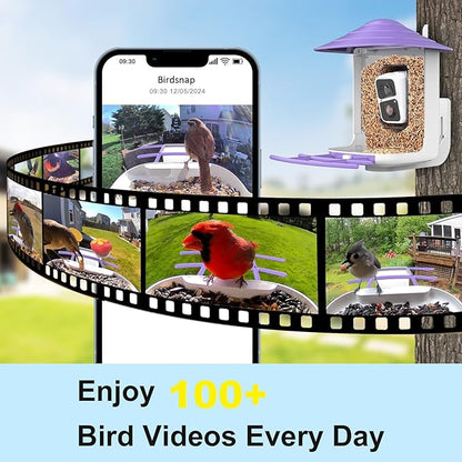 birdsnap® TUC Bird Feeder with Camera 2K HD Live with 32GB Card Auto Detect & Notify AI Identify Camera Birds Feeders Solar Powered Wireless Outdoors Backyard Gift for Mom Dad Birds Lover, 2.4G WiFi