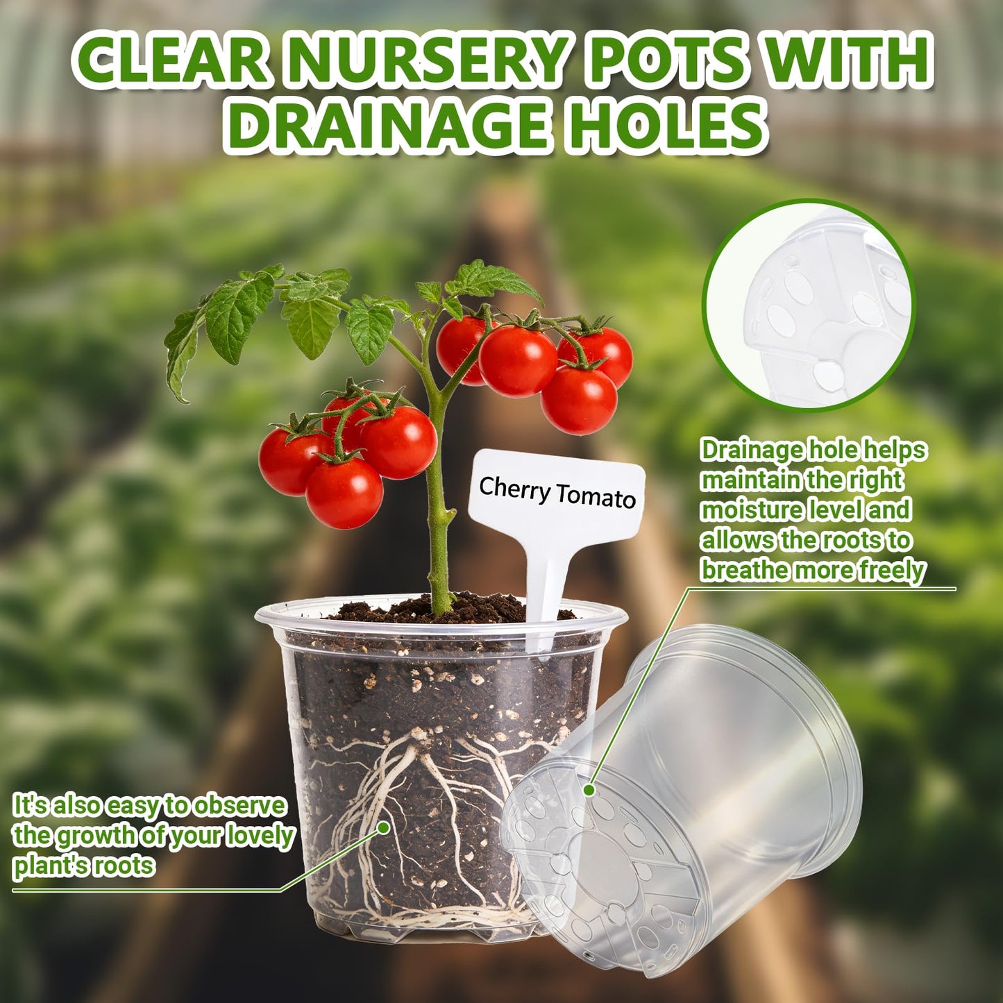 CAKKVDE 36 Pack Clear Nursery Pots with Saucers, 3.5/4/5 Inch High Transparency Plastic Plant Pots with Drainage Holes, Variety Pack for Propagation, Seed Starting, Succulents, Herbs and Vegetables