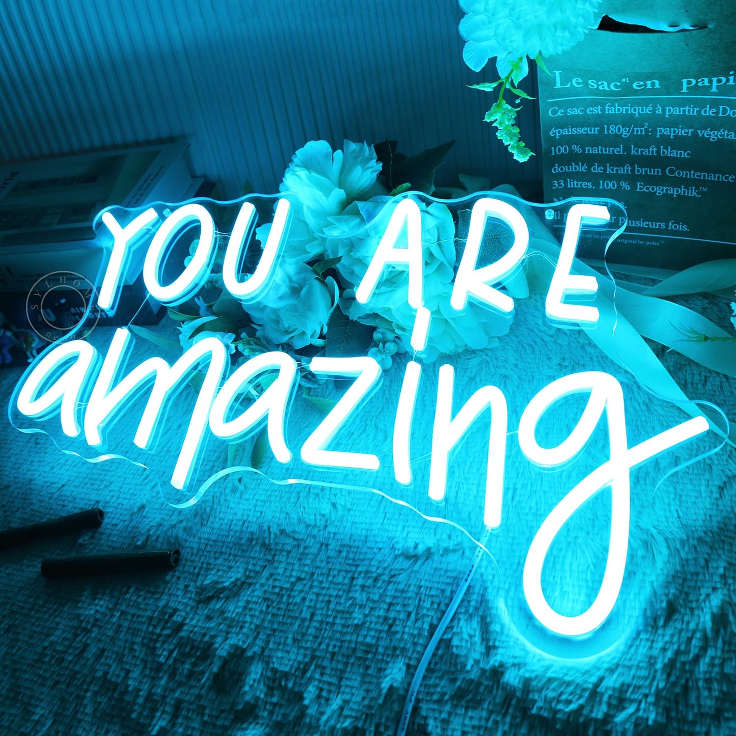SYLHOME You Are Amazing LED Neon Light Sign 5V Girls Boys Bedroom Living Room Classroom Wall Decor Sign Hanging Smart Kid Birthday USB 16.9" X 10.6" Warm White