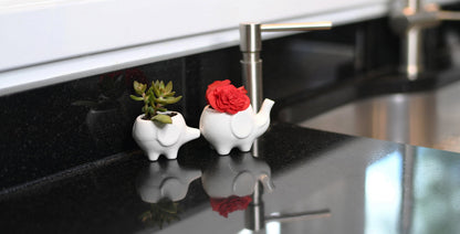Ceramic Planters for House Plants-Plant Pots Set for Indoor & Outdoor Use (Mama & Baby Elephant Set) by Arad