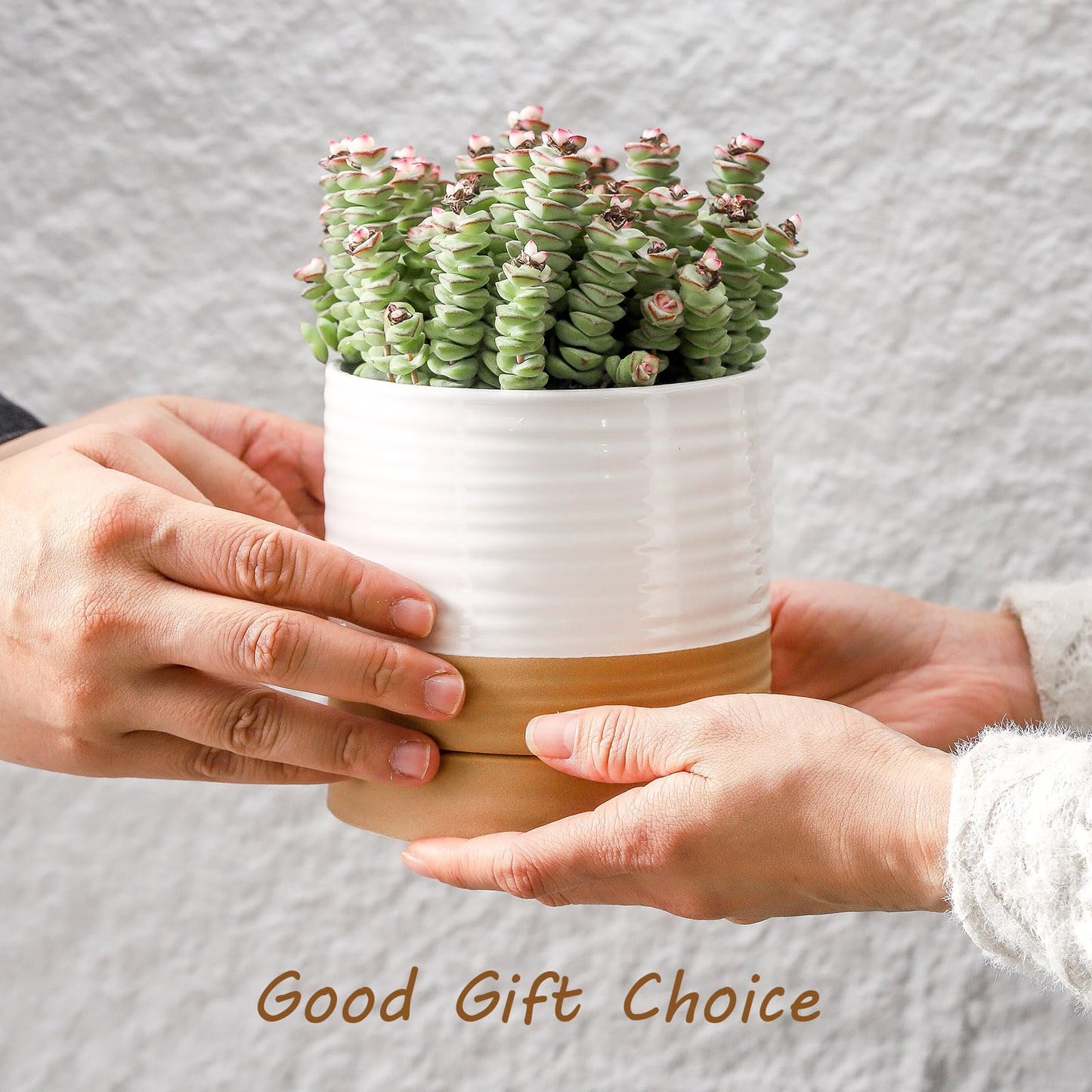 HASENSE 4.6 Inch Plant Pots, Ceramic Flower Pots for Indoor Plants, Small Two-Tone Design Planter with Drainage Hole and Saucer, Cute Windowsill Tabletop Decor, Set of 4, White-Brown