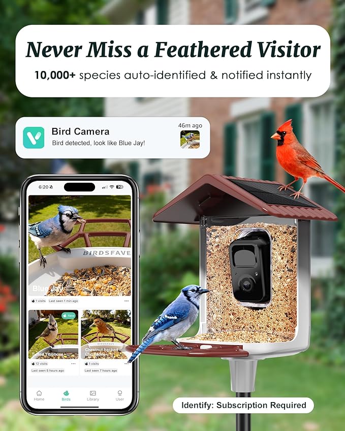 Bird Feeder with Camera Solar Powered, 2K Live Arrival Alert Auto Capture Video with 32GB TF Card, AI Identify Smart Camera Bird Feeder Ourdoor Backyard Gift for Mom Dad Birdlover, 2.4G WiFi