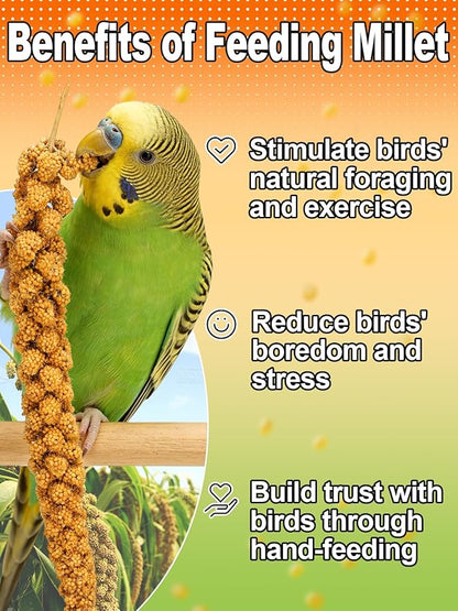 MEWTOGO Spray Millet & Cuttlebone Bird Treats Set - 2lb Hand Selected Golden Millet Treats for Parakeets Cockatiel Lovebirds Canaries Finches, Energy & Calcium Boost