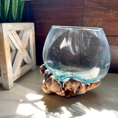 Melted Glass on Gamal Root Wood Decorative Bowl, Vase, and Terrarium Planter - Approximately 5 Inches High - Nature-Inspired Artistry for Home and Garden