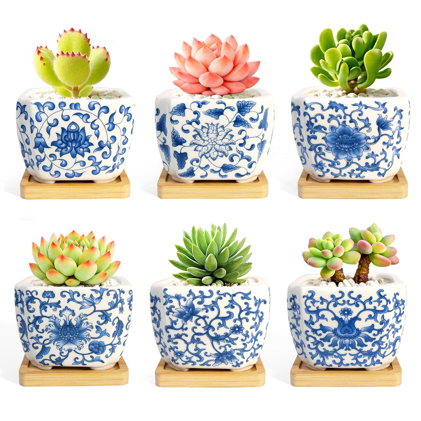 Succulent Pots - 3.1" Succulent Planters with Drainage and Bamboo Trays, Ceramic Flower Pots for Indoor Plants, Small Succulent Pots for Cactus, Home Office Desk Decor, Set of 6