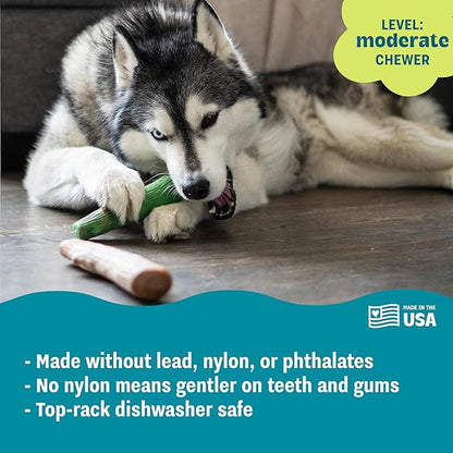 Pupstages by Petstages Dogwood Breath Dog Chew Toy – Real-Wood Blend, Moderate Chewers, Large, 8", 2-Pack (Natural & Mint Flavors)