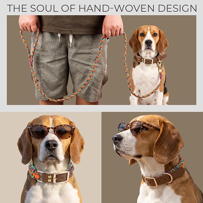 Tirevt Hand-Woven Dog Collar and Leash Set:Color-Block Design, Premium Reinforced Buckle, Adjustable Artisan Paracord for Puppies, Small, Medium & Large Dogs (Rainbow, M)
