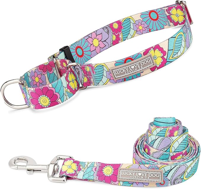 Lucky Love Dog Martingale Collar and Leash Set, Premium No Slip Martingale Collar for Large Dogs, Great for Whippets, Greyhounds, and More (Caroline, Large - Combo)