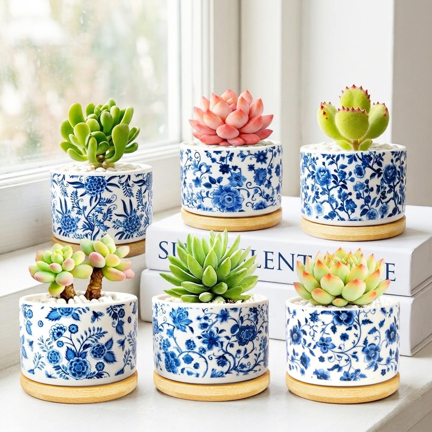 Succulent Pots, 6PCS Small Pots for Plants with Drainage & Saucers, 3.1 Inch Ceramic Flower Planters for Indoor Plants, Decorative Planters for Succulent Cactus, Home, Office, Desk