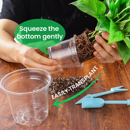 Bluepro 36 Packs 7/5/4/3.5 Inch Reinforced Clear Nursery Pots with Drainage Hole, Transparent Variety Pack Plastic Plant Pot Seedling Planter for Vegetable Propagation, Root Cutting, Seed Starting