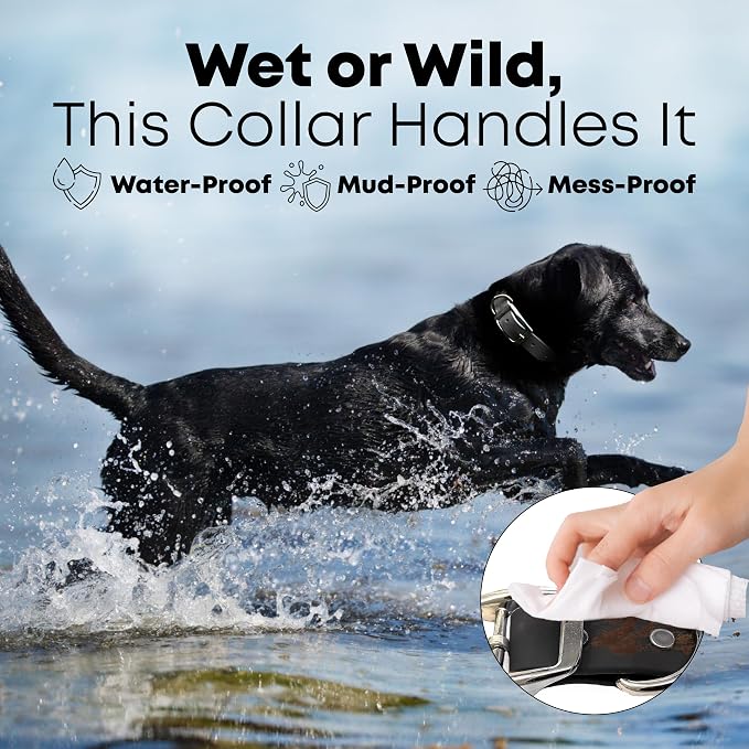 Regal Dog Products Small Black Waterproof Dog Collar and Leash Set | Heavy Duty Double Buckle & D Ring - 5'ft Leash | Adjustable Biothane Dog Collar | Chew Resistant Waterproof Collar for Dogs
