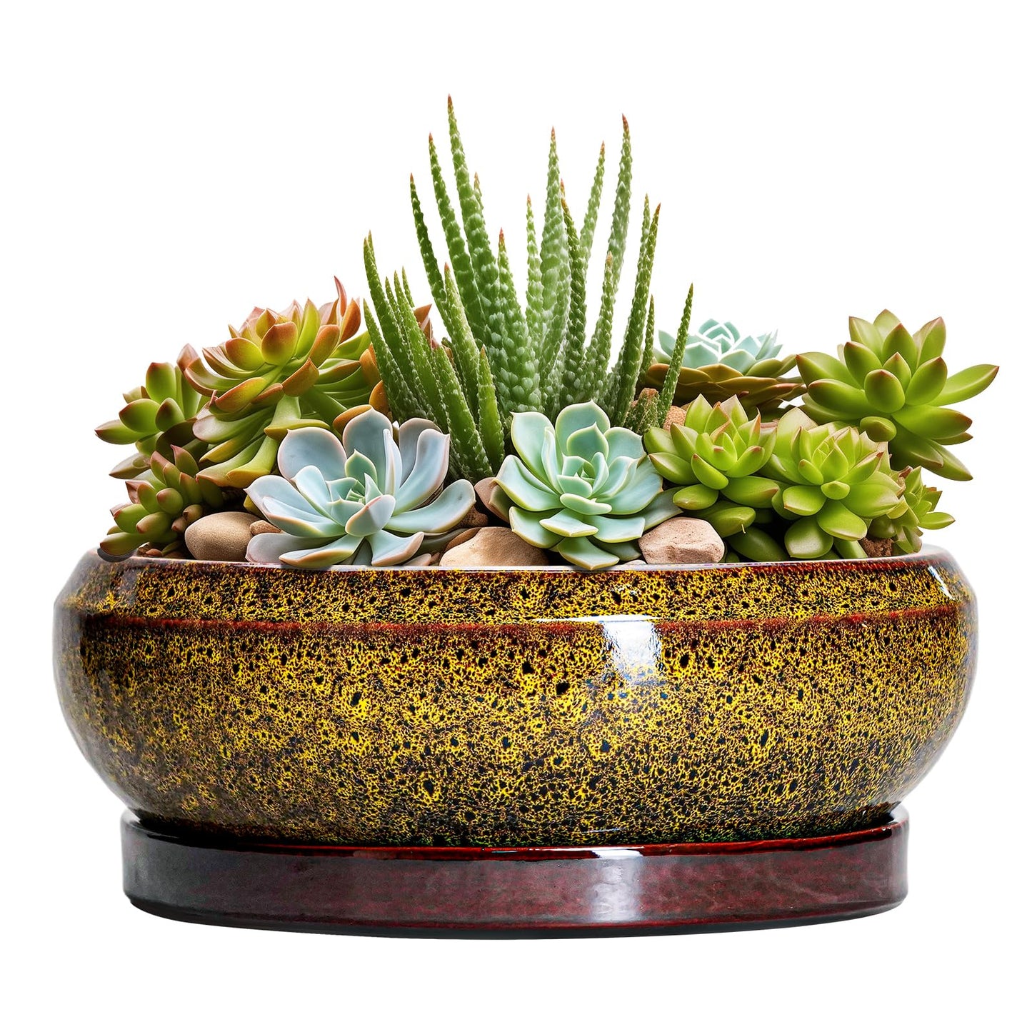EPFamily Succulent Planters 8 Inch - Ceramic Bonsai Pots with Drainage Hole and Tray, Shallow Plant Pot Indoor Outdoor, Round Succulent Pots, Planter Bowl, Porch Decor, Housewarming Gifts, Yellow