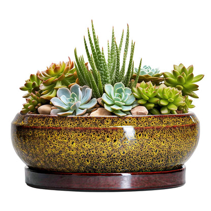 EPFamily Succulent Planters 8 Inch - Ceramic Bonsai Pots with Drainage Hole and Tray, Shallow Plant Pot Indoor Outdoor, Round Succulent Pots, Planter Bowl, Porch Decor, Housewarming Gifts, Yellow