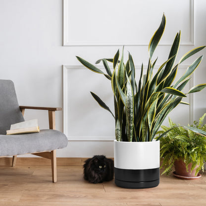 D'vine Dev 12 Inch Ceramic Planter Pot with Drainage Hole and Saucer, Indoor Cylinder Round Planter Pot, Layered Monochrome Black & White, 94-O-F-L