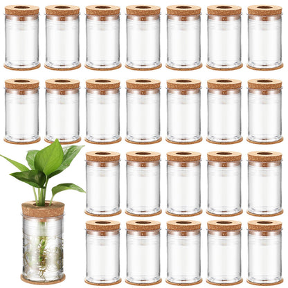 Baderke 24 Packs Plastic Desktop Plant Terrariums Propagation Planter Tabletop Planting Vase with Lid and Cork Plant Coasters for Growing Hydroponic Home Office Table Decoration(Classic Style)