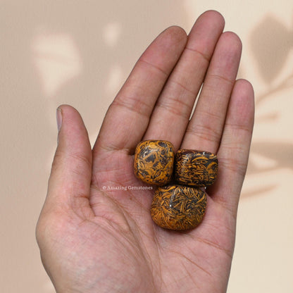 Amazing Gemstone Mariyam Jasper Crystals&Healing Stones - 1 oz Mariyam Jasper Stone, Natural Healing Stones for Energy Balance, Stress Relief - Premium Polished Gems Rocks for Meditation&Wellness