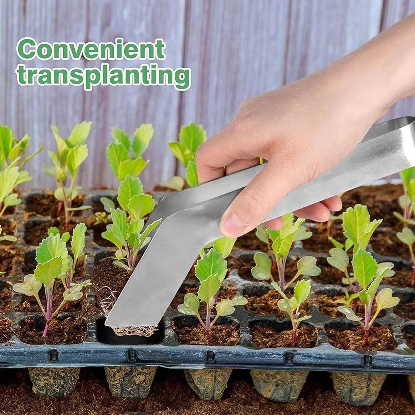 2 pcs Seedling Transplant Tongs, Stainless Steel Seedling Starters Remove Tongs, Gardening Plants Transplant Tongs for Reducing Root Damage
