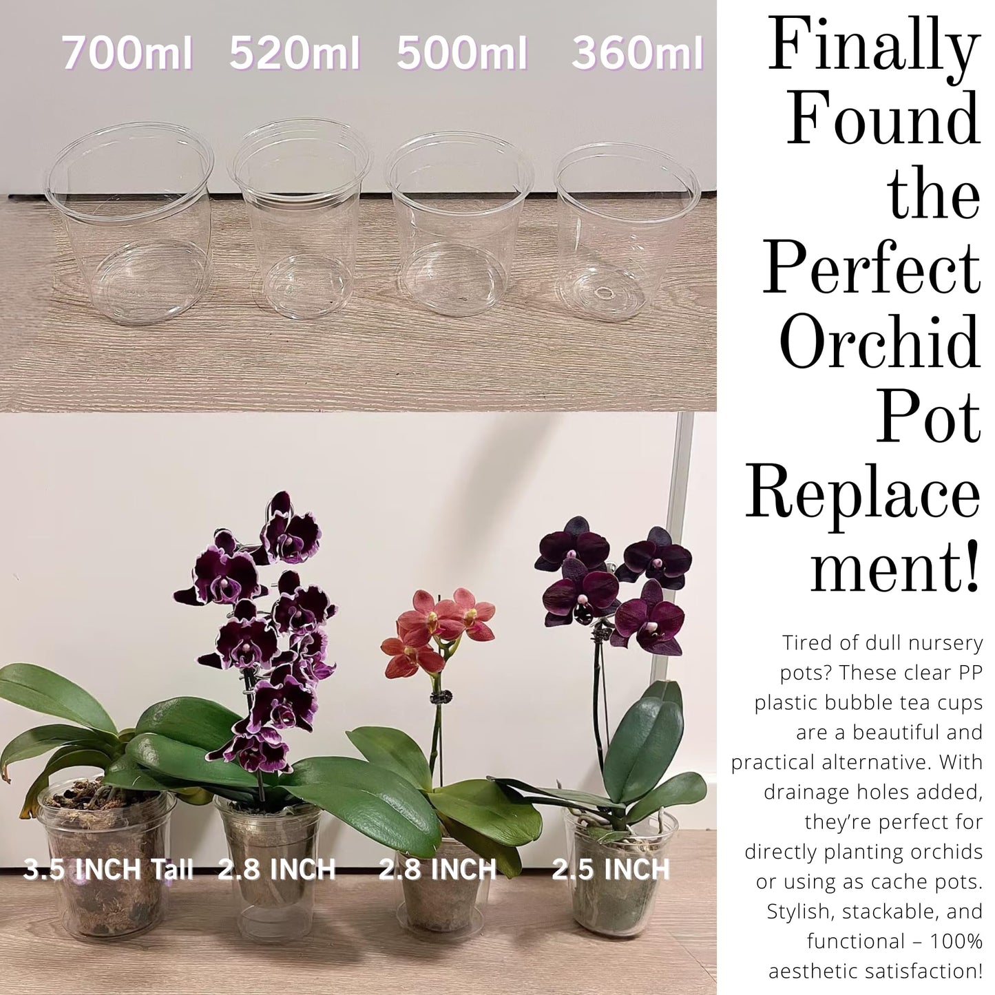 Yuvori Clear DIY Orchid Pot – 3.5 Inch Teacup Planters & Stylish Covers for Phalaenopsis, Succulents & Indoor Plants – Customizable Drainage (12 oz Clear Plastic Teacup Planters (50-Pack))