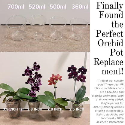 Yuvori Clear DIY Orchid Pot – 3.5 Inch Teacup Planters & Stylish Covers for Phalaenopsis, Succulents & Indoor Plants – Customizable Drainage (12 oz Clear Plastic Teacup Planters (50-Pack))