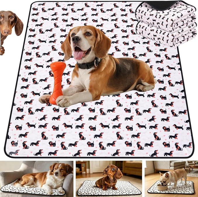 Washable Pee Pads for Dogs,2 Pack Reusable Puppy Training Pads-Funny Dachshund Print,Odor Resistant Super Absorbent,for Crate,Playpen,Floor,Whelping & Housebreaking