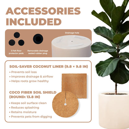 DEPLA LANE Lumero Fiberstone Cylinder Planter (14.0" Pot Opening x 15.7" D x 15.7" H) Smooth Finishes, Lightweight, Durable, UV Resistant, Minimalist Decor, Indoor Outdoor Plant Pot (XL, Cream White)