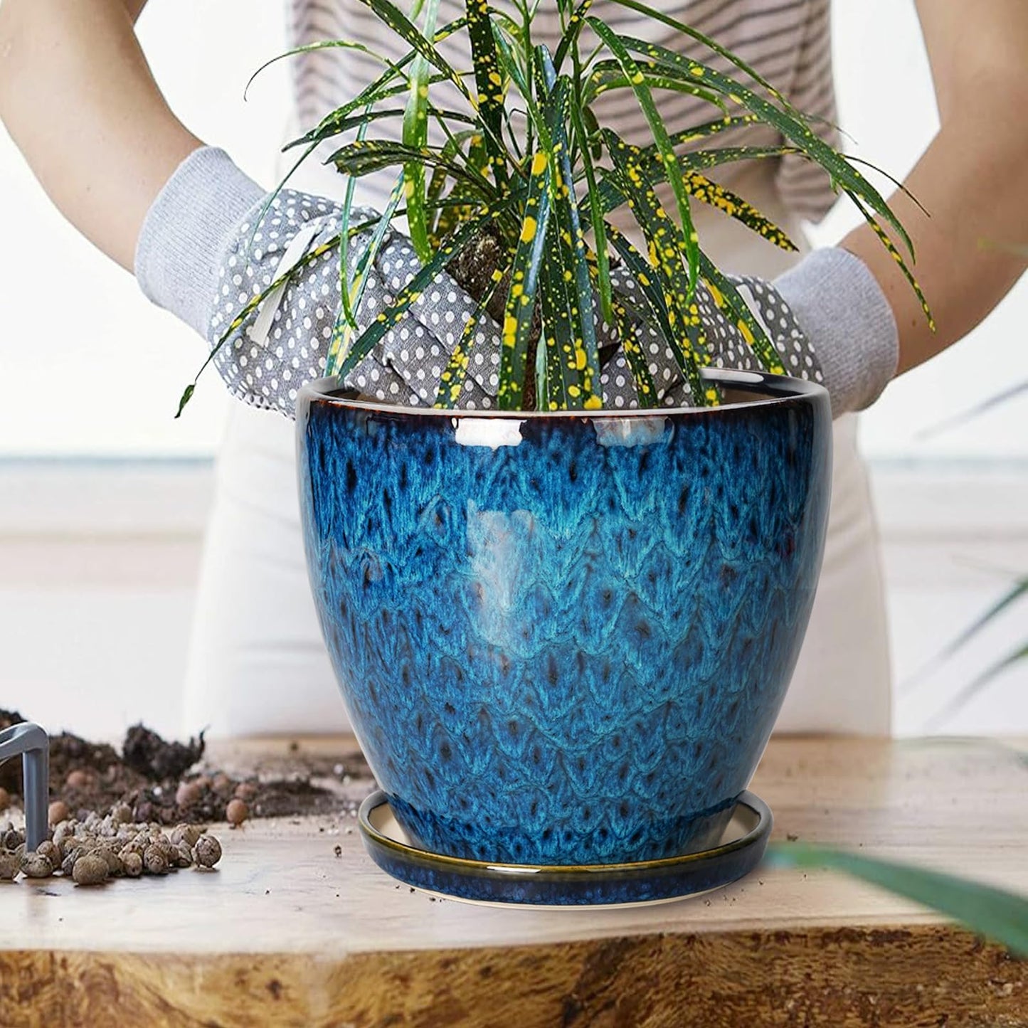 EPFamily 8 Inch Ceramic Planter Pot with Drainage Hole and Saucer, Ceraimc Plant Pot Round Flower Pot for Indoor Plants Outdoor Garden Planter, Blue