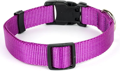 Country Brook Petz - Everyday Nylon Dog Collar and Leash - 10+ Cool Colors (1 Inch, Large, Bright Purple)
