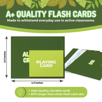 50 Animal Flash Cards - Realistic Photo Cards - Fun Vocabulary Builder for Autisim, Speech Therapy, ESL, Occupational Therapy - Montessori Educational Games for Preschool Kids Learning Activity