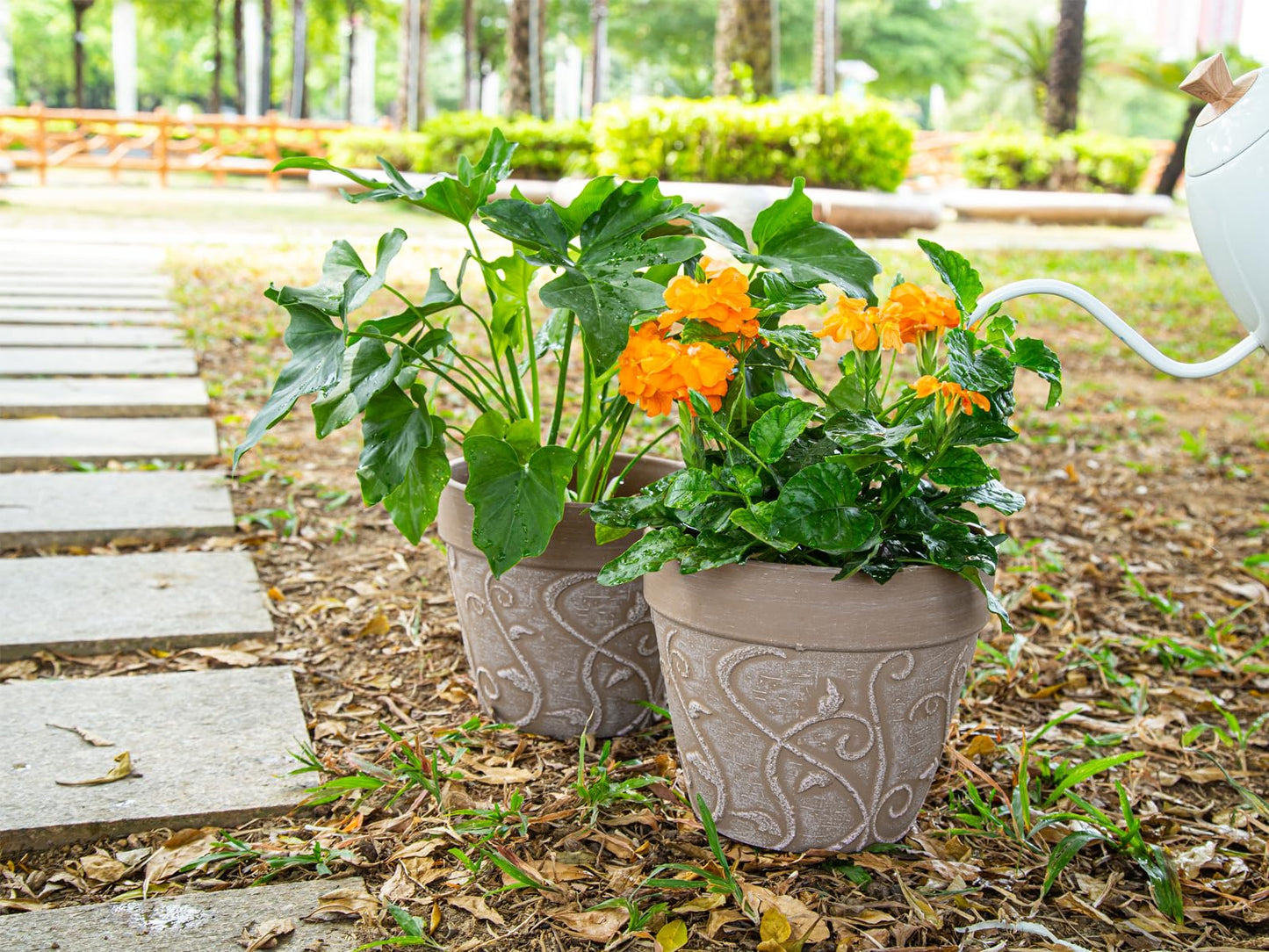 Melphoe Plant Pots Indoor with Drainage & Saucer, 2Pack 8 inch Flower Pots Outdoor Planters for Indoor Plants Garden Home Decor Cactus Succulent, Rigid Plastic (Imitation-Terracotta) Vine-Embossed