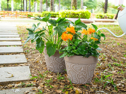 Melphoe Plant Pots Indoor with Drainage & Saucer, 2Pack 8 inch Flower Pots Outdoor Planters for Indoor Plants Garden Home Decor Cactus Succulent, Rigid Plastic (Imitation-Terracotta) Vine-Embossed