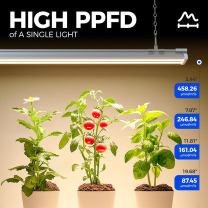 Barrina TX60 Grow Light for Indoor Plants, 240W, Full Spectrum, 4FT, 4 Packs, 3000K+6500K+660nm, with Timer
