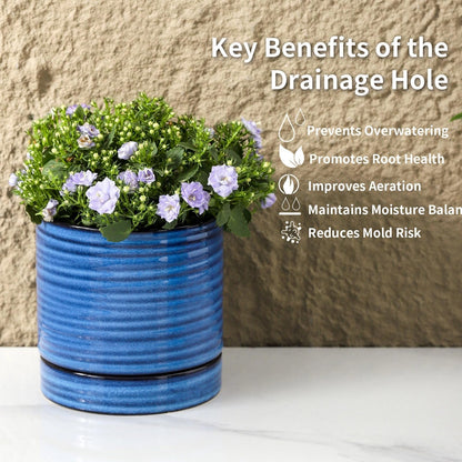 HASENSE Ceramic Plant Pots with Saucers Set of 4, 4.6 Inch Planters for Indoor Plants with Drainage Holes,Blue Flower Pots for Snake Plants & Cactus, Modern Farmhouse Windowsill & Tabletop Decor