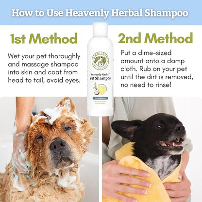 Wholistic Pet Organics Pet Shampoo Concentrate: USDA Organic Cat and Dog Shampoo for Sensitive Skin and Coat Support - Mild and Non-Irritating, Natural, Non-Toxic, Sulfate-Free, & Cruelty-Free - 8 Oz