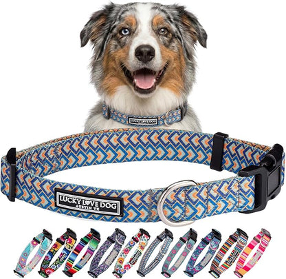 Lucky Love Dog Collars, Comfortable, Soft, Cute Dog Collar for Medium Dogs, Murphy, Medium