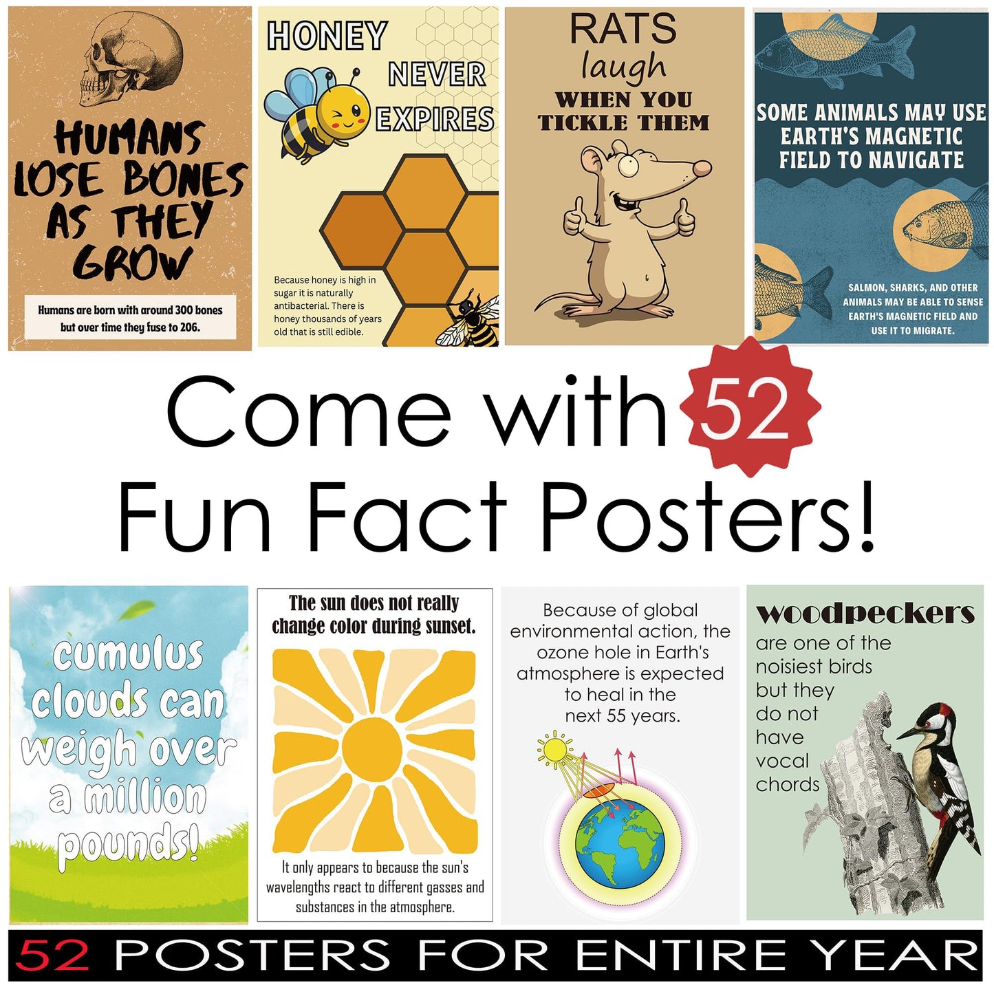 1step2dream Funny Science Posters for Elementary Classroom - Weird Educational Bulletin Board Decor with Amazing Facts - Inspire Students with Thought Provoking STEM Displays