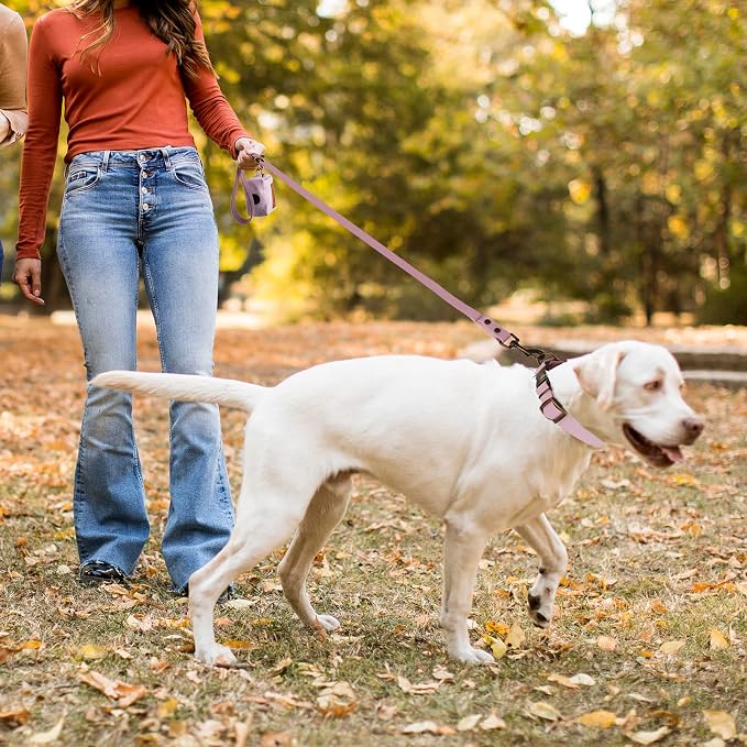 Wisedog Waterproof Dog Collar and Leash Set, XL, Pale Pinkish Purple | Adjustable Puppy Collar, Cute Tag, 6FT Dog Leash, Includes Poop Bag, For Small Medium Large Dogs
