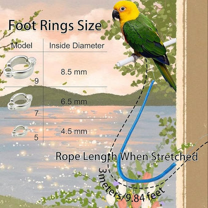 Bird Leash, Anti-Bite Parrot Harness Retractable Bird Flying Rope with 3Pcs Different Sizes of Foot Rings, Elastic String Training Harness Parrot Flight Rope (Blue, 118 Inches)